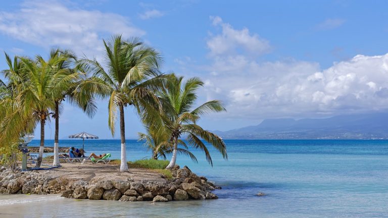 Et si vous profitiez d'une excursion en Guadeloupe ?