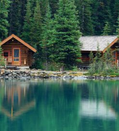 Vivre la passion de la pêche à la carpe : pourquoi opter pour un chalet en région centre ?