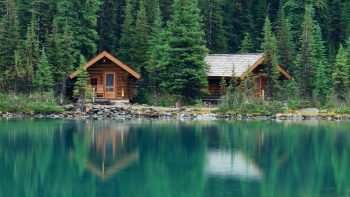 Vivre la passion de la pêche à la carpe : pourquoi opter pour un chalet en région centre ?